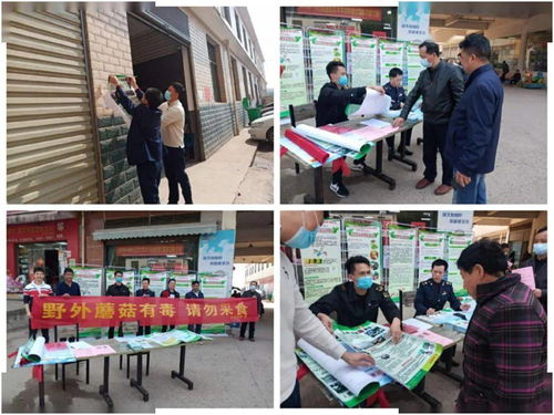 岳麓区“五步走”筑牢野生蘑菇中毒防线 广泛宣传强化督查 守护舌尖安全