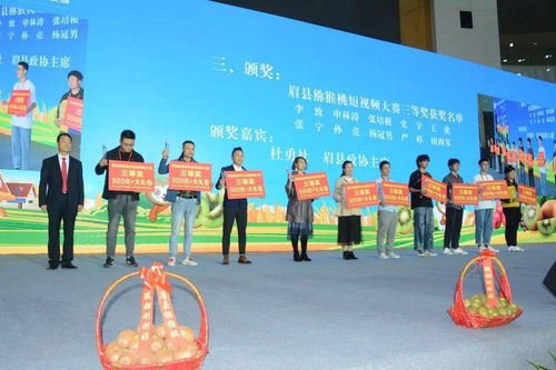 第九届中国国际猕猴桃产业发展大会暨陕西猕猴桃网络特色季 体验式拓展活动的亮点与成效